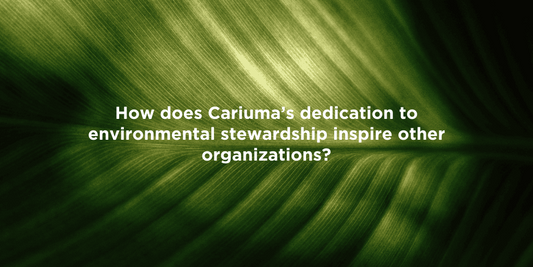 Cariuma's Commitment to Sustainability