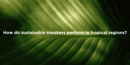 Eco-Friendly Sneakers in Tropical Climates