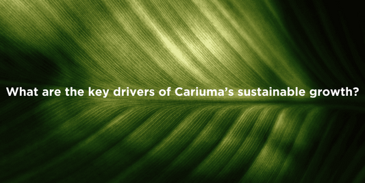 Key Factors Behind Cariuma’s Success