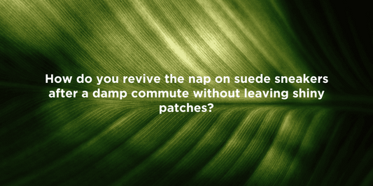 Restore the Nap on Suede Sneakers