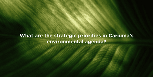 Eco-Friendly Shoe Priorities Unveiled