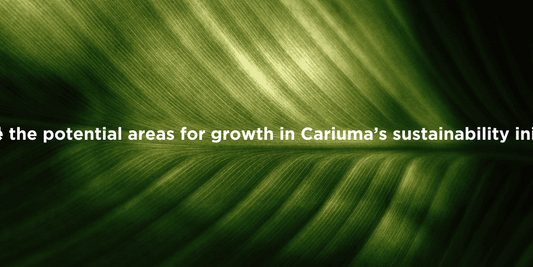 Boosting Eco-Friendly Growth at Cariuma
