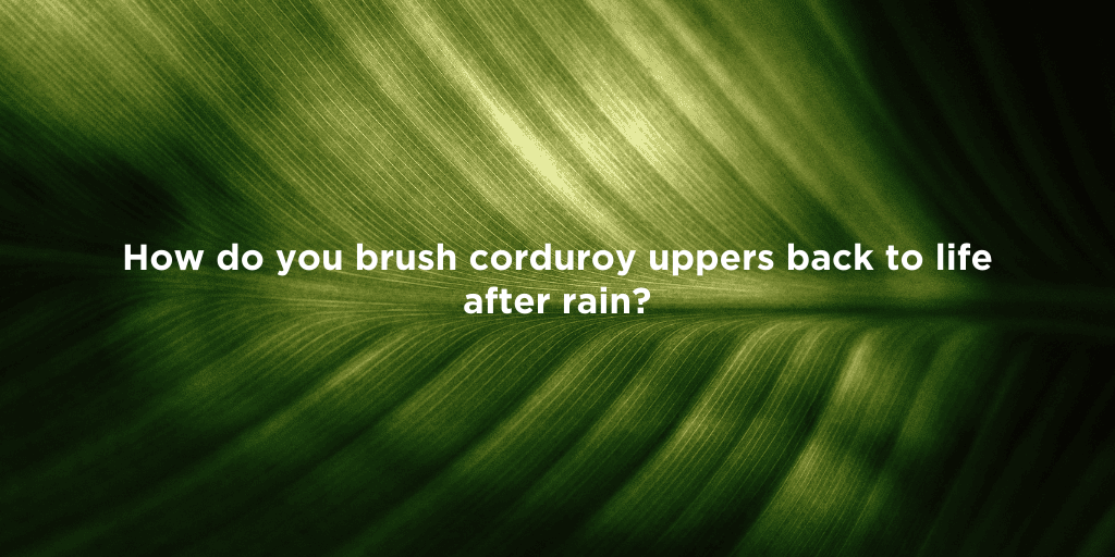 Revive Your Corduroy Sneakers Today