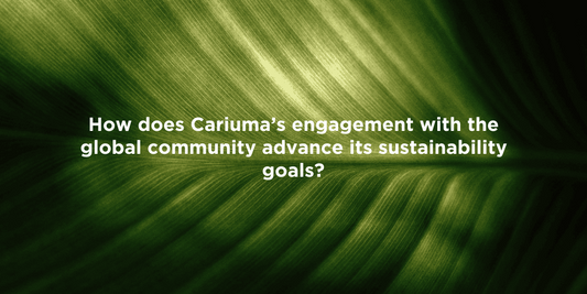 Cariuma’s Global Impact on Sustainability