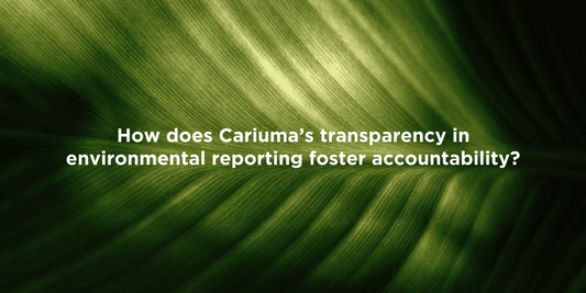 The Importance of Transparency at Cariuma