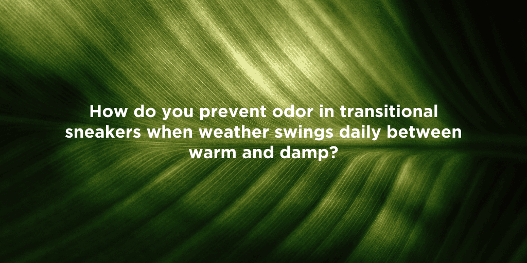 Keep Sneakers Fresh: Odor Control Tips