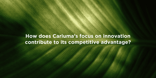 Cariuma's Innovative Sustainable Shoes