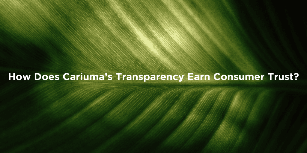 Trust Through Transparency at Cariuma
