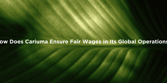 Ensuring Fair Wages in Eco Sneakers