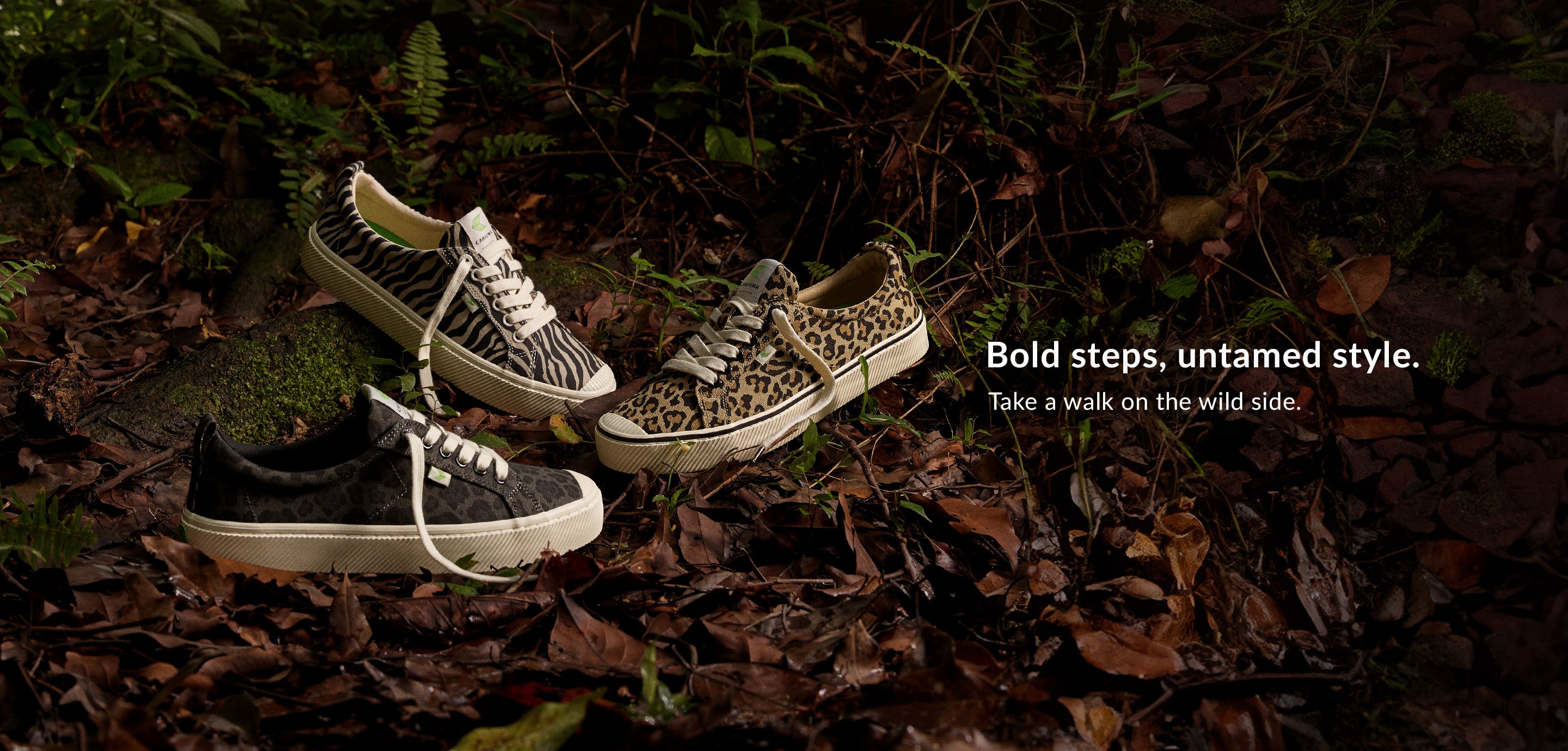 Tiendas converse df clearance